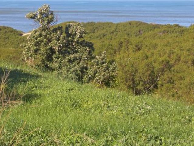 694 m² Land available in Paradise Beach