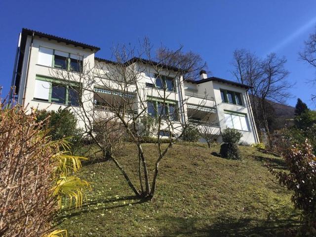 6964 Soragno