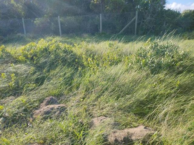 697 m² Land available in Kleinbaai