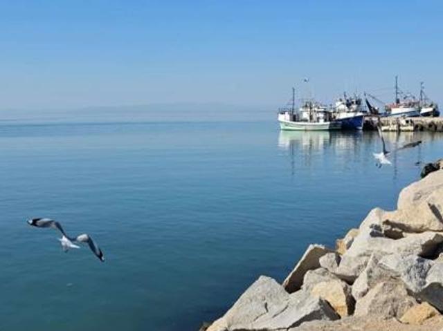 698 m² Land available in Da Gama Bay