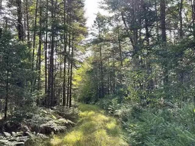 69 Mackay Road, Union Square, NS, B0R 1E0 vacant land for sa.