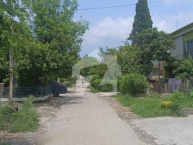 6 Marla Livable House For Sale G 9/4 Islamabad