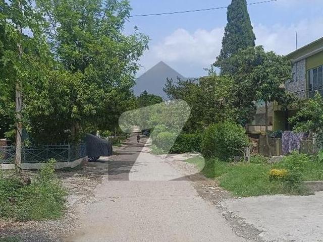 6 Marla Livable House For Sale G 9/4 Islamabad G 9/4