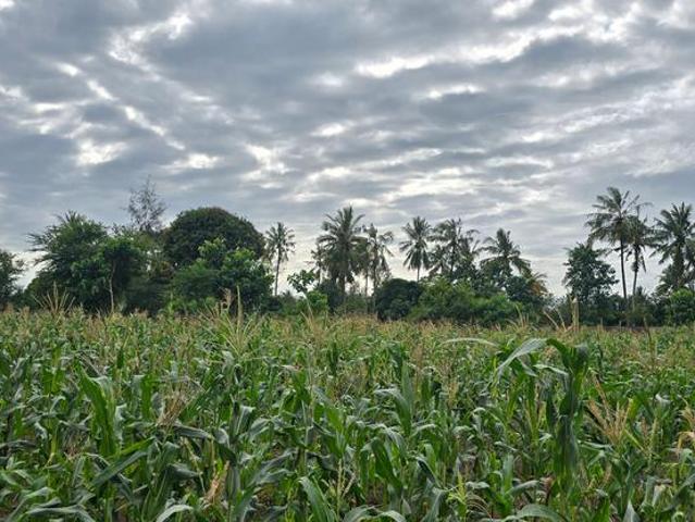 6 Acre Parcel for Sale Bomani, Kilifi County