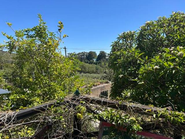 6 Bedroom House in Napier