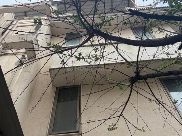 6 BHK Independent House in Ganga Dham for resale Pune. The reference number is 20646308