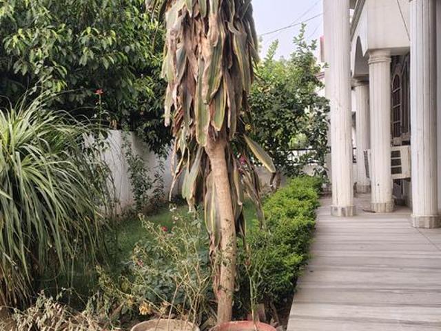6 BHK Independent House in Gomti Nagar for resale Lucknow. The reference number is 20320112
