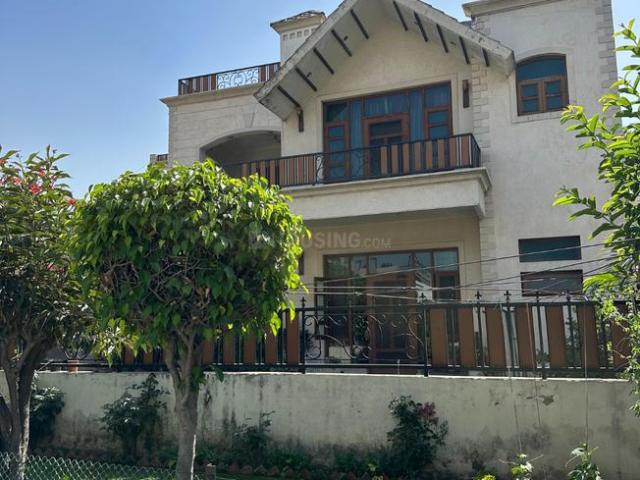 6 BHK Independent House in Sector 61 for resale Mohali. The reference number is 20053303