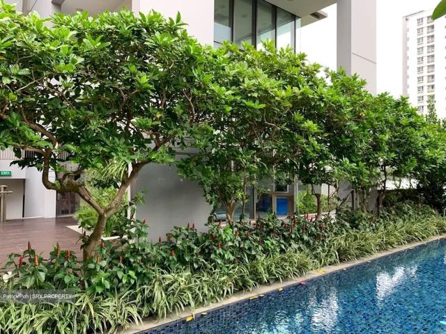 6 Derbyshire D11, Condominium