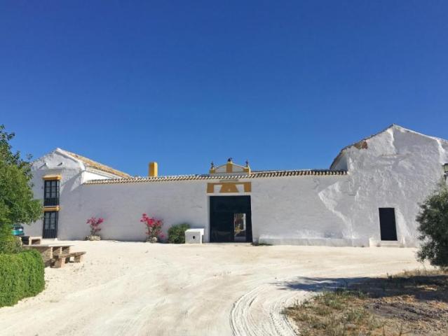 6 Dormitorio Casa Moron De La Frontera Andalucia 79146677