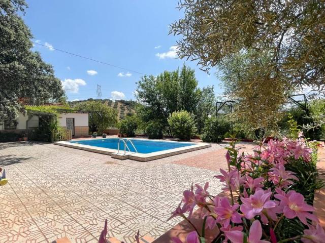 6 Dormitorio Apartamentos Málaga Andalusia LS95263896