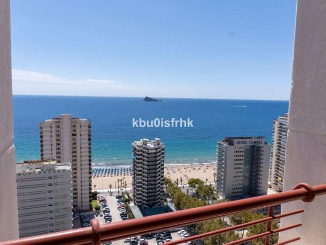 6 Dormitorio Apartamentos Benidorm Alicante 101132362