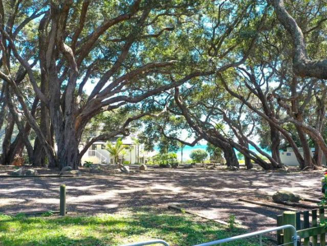 6 Fishermans Bend, Whiritoa, Thames Coromandel For Sale