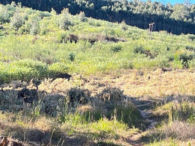 6 ha Land available in Underberg