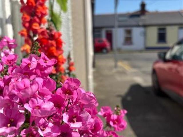 6 Harolds Cross Cottages, Dublin 6, Dublin, D06FW56