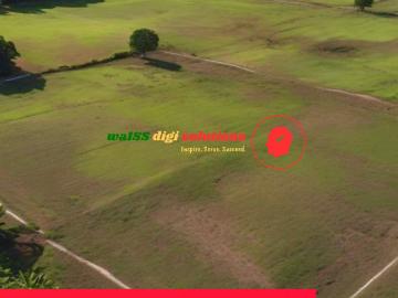 6 hectares Farm Lot For Sale n Medellin Cebu [Lots ] April 2025 in Medellin, Cebu for sale | Clean Title | FSBO / For Sale by Owner