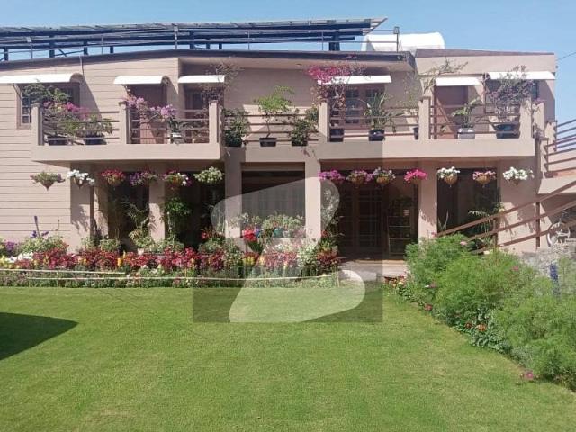 6 Kanal Farmhouse Available For Rent