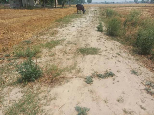6 Kanal Farmhouse Land Available For Sale Lahore BEDIAN ROAD ID 91031