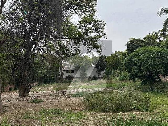 6 Kanal Residential Plot for Sale in Main Cantt