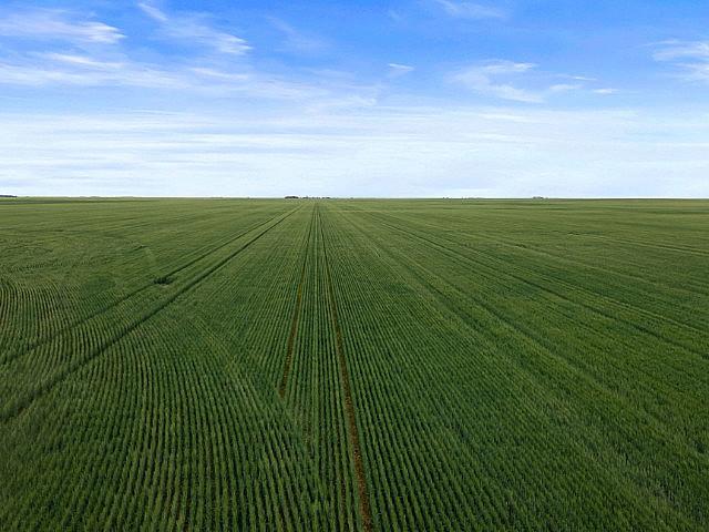 6 Quarters Regina Heavy Clay Grain Land Rm Lajord #128