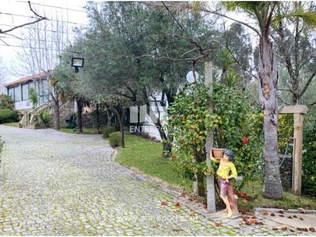6 quarto, Viana do Castelo Viana do Castelo 104547536