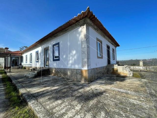6 quarto, Águeda Águeda 99885966