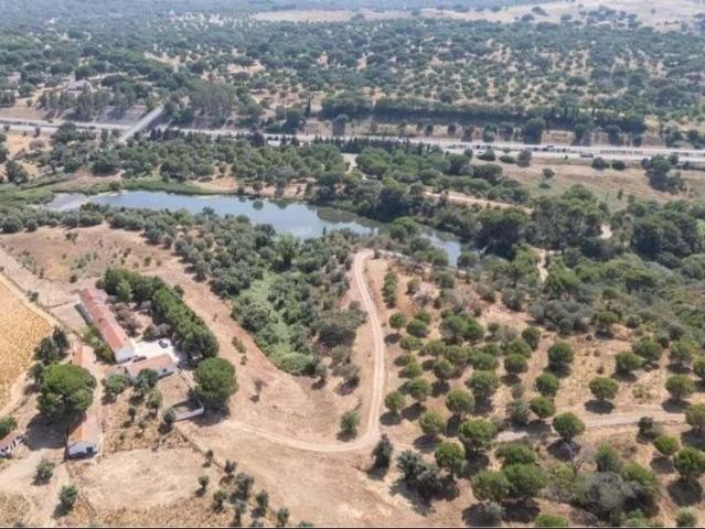 6 quarto, Alcácer do Sal Setúbal 86978503