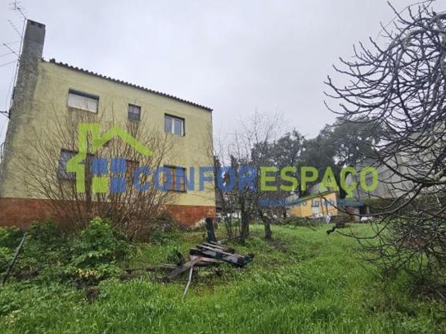 6 quarto, Castelo Branco Castelo Branco 6000 LS99006037