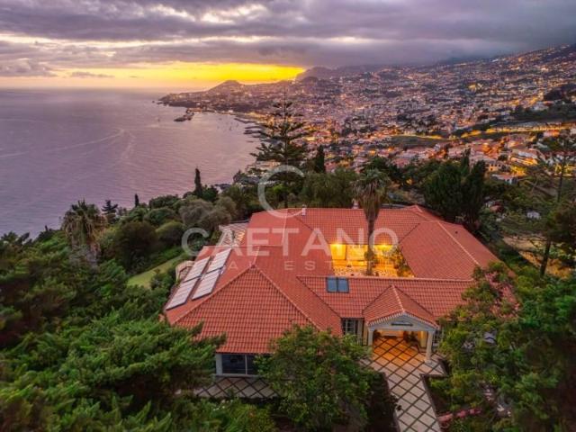 6 quarto, Funchal Funchal 98824117