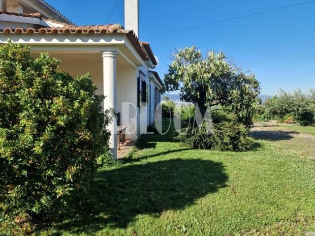 6 quarto, Fundão Castelo Branco 99693115