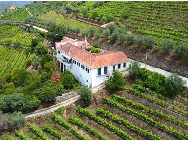 6 quarto, Lamego Lamego LS99639746