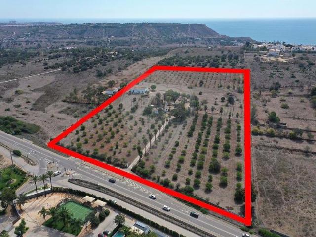 6 quarto, Lagos Algarve 102054320
