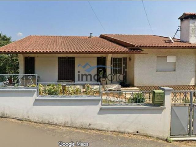 6 quarto, Oliveira de Azeméis Oliveira de Azeméis 97312324