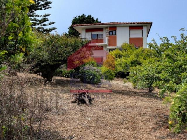 6 quarto, Peniche Peniche 103109075