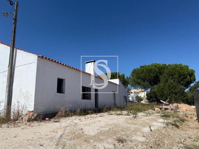 6 quarto, Santarém Santarém 94669218