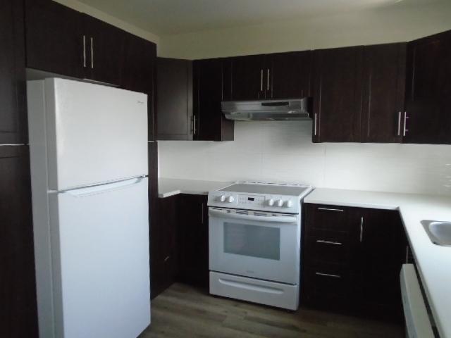 6 ½ rue Notre Dame Laval 5 électros Inclus LIBRE