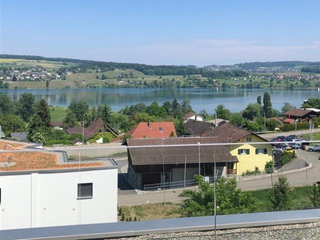 6 Zi. Einfamilienhaus mit Seesicht in Boniswil kaufen