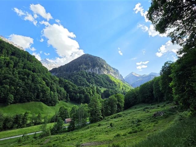 6 Zimmer Zweifamilienhaus mit Panorama, Schwendi im Weisstannental SG