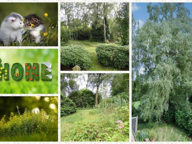 6 Zimmer Familienidyll für Tierfreunde & Naturliebhaber