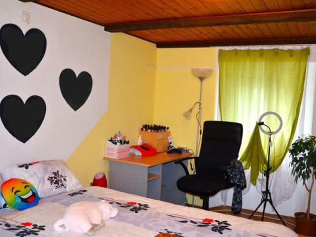 6 1/2 Zimmer Einfamilienhaus mit grossem Umschwung an sehr ruhiger, sonniger Aussichtslage / Bella casa di 6,5 loc. Con grande terreno | dreamo. Ch