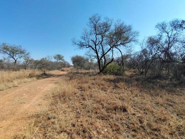 6 500 m² Land available in Ditholo Wildlife Estate