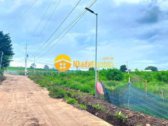 6.500m2 đất liên hiệp cu, lâm đồng 2500m2 thổ cư quy hoạch full hồng