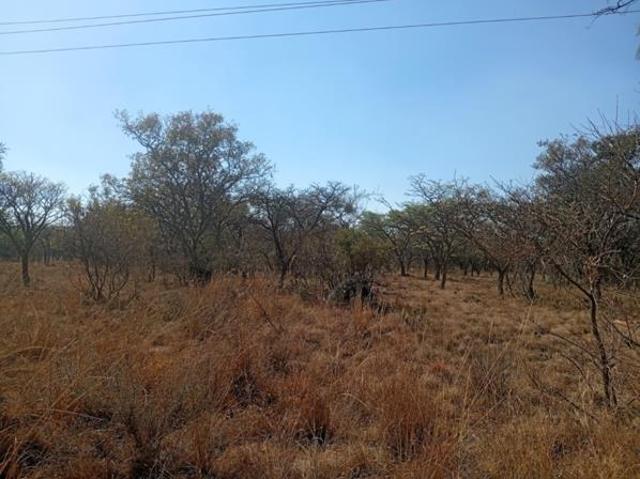 6 523 m² Land available in Bela Warmbaths