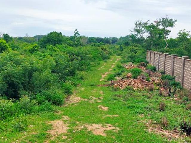 6.5 Acre Prime Land Vipingo Kuruwitu 3rd row beach ️️️