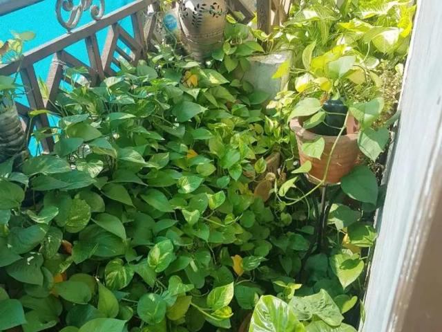 6.5 Marla, 3 floor, underground water tank, total rooms 14 Rawalpindi Kalma Chowk ID 21211