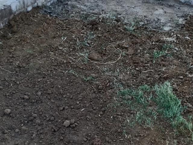 6.5 marla plot for sale Gujranwala Ratta Road ID 69357