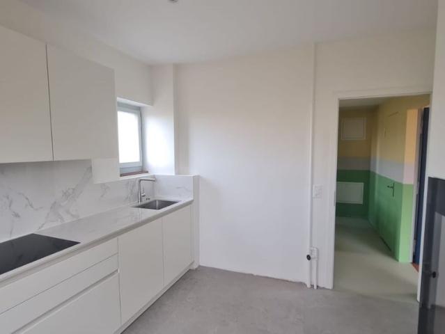6.5 room duplex apartment