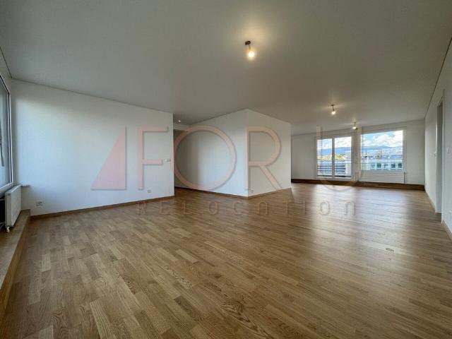 6.5 Zimmer, 159 m², 7. Stock
