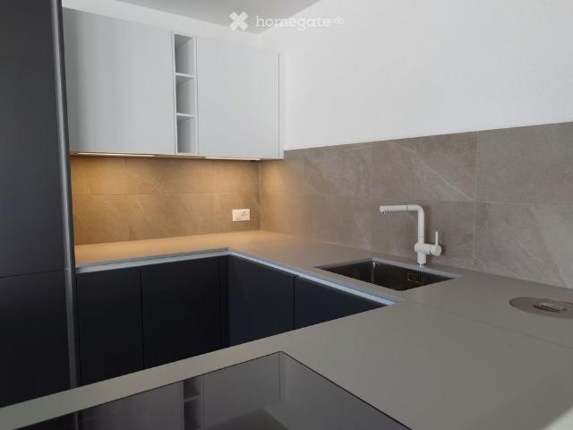6.5 Zimmer, 160 m²