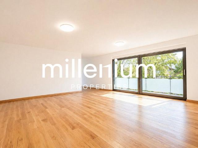 6.5 Zimmer, 187 m², 1. Stock